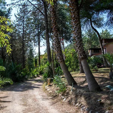 1 Bedroom Awesome In Holiday home Monsampolo Del Tronto