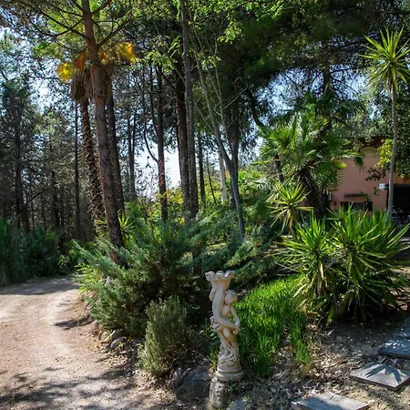 1 Bedroom Awesome In Monsampolo Del Tronto