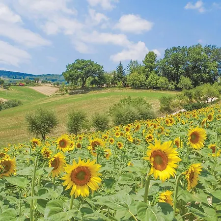 1 Bedroom Awesome In Holiday home Monsampolo Del Tronto